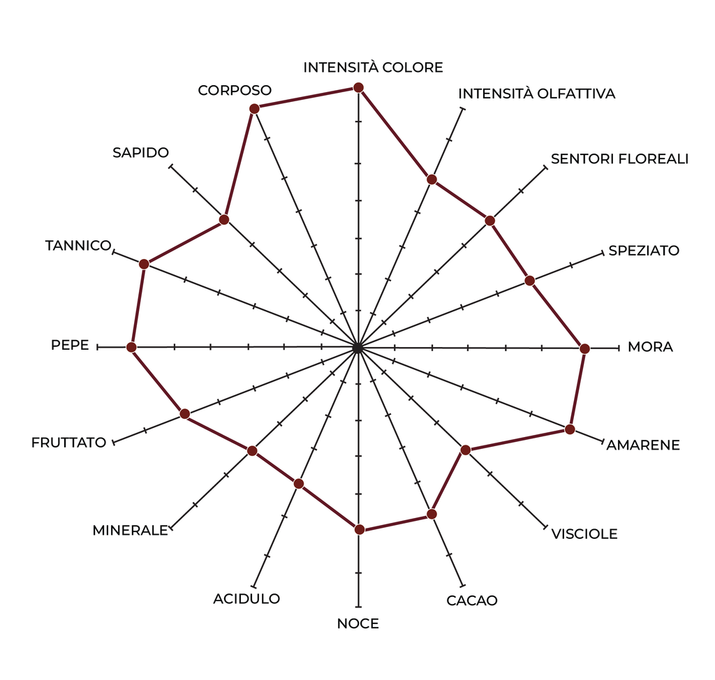 Montepulciano d'Abruzzo DOC