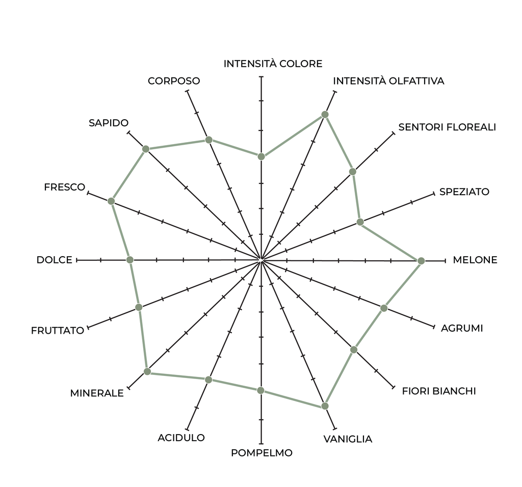Trebbiano d'Abruzzo